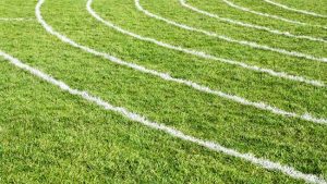 Off and running for anniversary year of St Albans gift