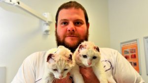 Brooklyn: Rescued kittens need a new home