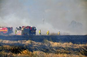 Sunshine: Ballarat Road grass fire not deemed suspicious | Photos