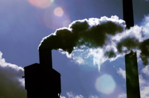 West councils take the lead over carbon cuts