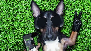 Sarah Harris goes in search of self