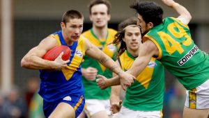 WRFL: Deer Park Lions drop their guard, cop a belting