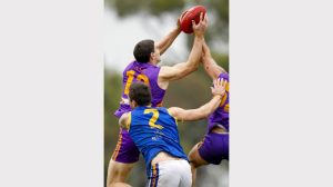 Gallery: WRFL-Deer Park v Altona