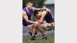 Gallery: EDFL-Keilor v Essendon Doutta Stars