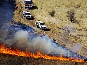 DEPI fights fire with fire in western suburbs