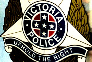 Raids net massive $29m cannabis haul