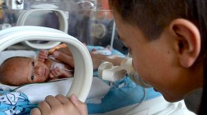 Sunshine’s baby boom continues