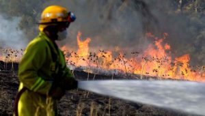 Residents near open spaces urged to be fire ready