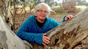 Cairnlea fight: Report supports loss of 300 trees