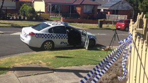 Deer Park teenager found dead after attack