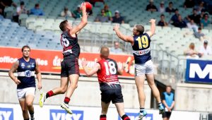 EDFL: Northern too good for Essendon District’s best