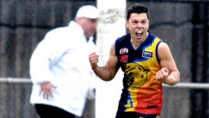 EDFL division 2: Red-hot Cougars poised for finals action