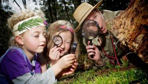 Pictures of the Month: October 2014 | Gallery