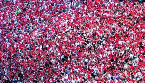 MY VIEW: Blending with the crowd