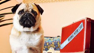 QUE SERA: Special encounter with a world traveller