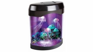 QUE SERA: Why sex and jellyfish don’t always sell