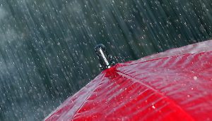 Brimbank: SES issues strong wind warning, rain