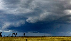 Wild weather: 117kmh winds hit Brimbank