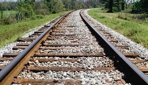 Caroline Springs station will overcrowd trains: Greens