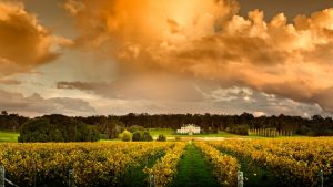 TRAVEL: Margaret River Gourmet Escape