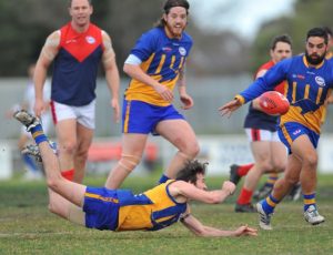 WRFL:  Michael Spooner scoops up eight in St Albans’ win over Sunshine