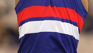 VFL: WRFL stars to play for Footscray Bulldogs