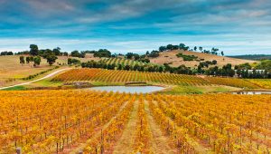 WINE: Heathcote, Australia’s Rhône Valley
