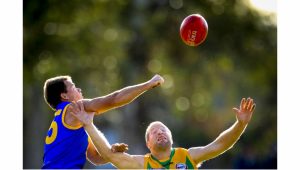 WRFL: Deer Park Lions set a hot pace with eight in a row