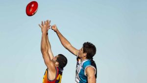 EDFL: Hillside Sharks tame Cougars