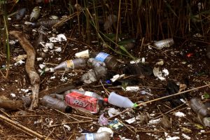 Council calls for more waste powers