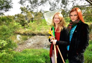 Syringes prompt call to act on creek pollution