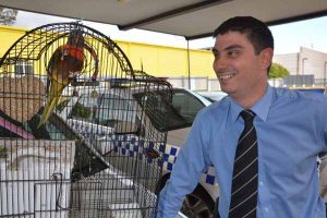 Police unite stolen lorikeet with Sunshine owner