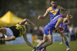 In the Doghouse: Super Saturday