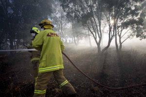 Brimbank council acts on fire hazard properties