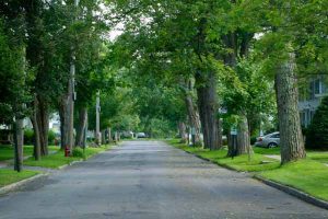 West’s greening zone branches out