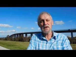 Worth a look: 5 stories you may have missed