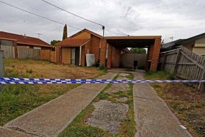 Two arrested after Kings Park shooting