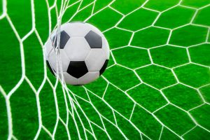 North Sunshine builds on a cultural revolution