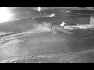 6 stories you may have missed