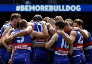 Kevin Hillier: In the Doghouse