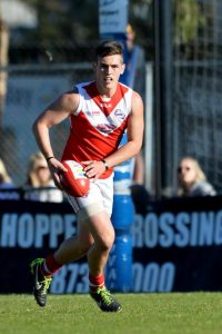 Kevin Hillier: In the Doghouse