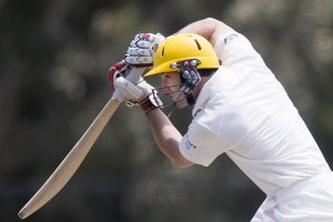 Kevin Hillier: In the Doghouse