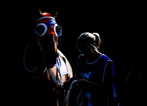 8 stories you may have missed