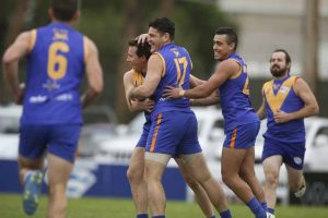 Kevin Hillier: In the Doghouse