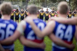 Kevin Hillier: In the Doghouse