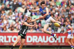 Kevin Hillier: In the Doghouse