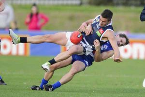 Kevin Hillier: In the Doghouse