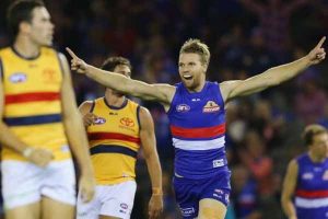 Kevin Hillier: In the Doghouse