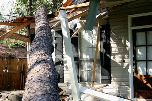 Climate change plays havoc with roofs