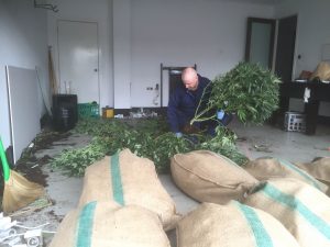 Huge drug bust on Caroline Springs house